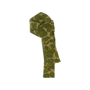 ǰ 